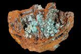 Selenite Encrusted Rosasite and Aurichalcite Clusters - Mexico #144573-1
